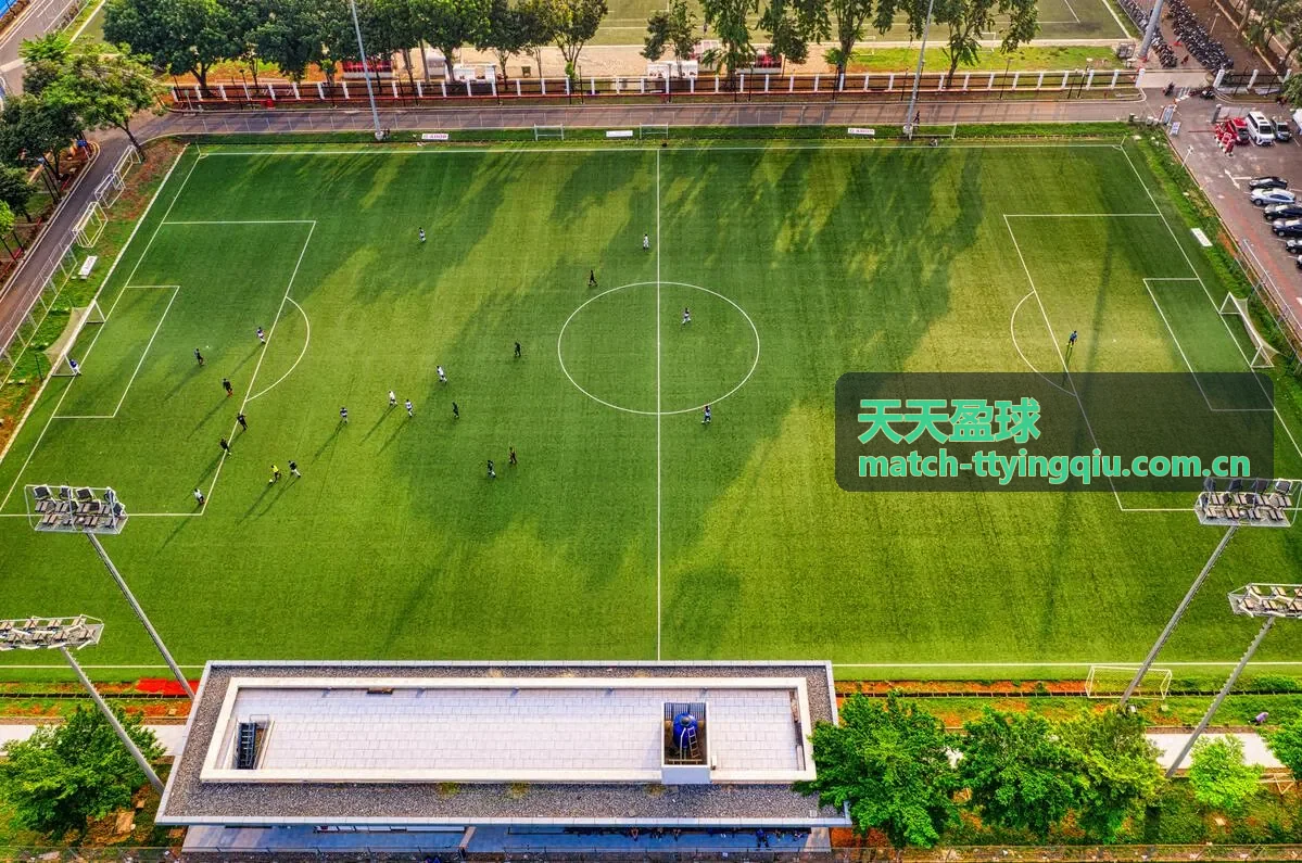 天天盈球赛事看点钟强对话分析